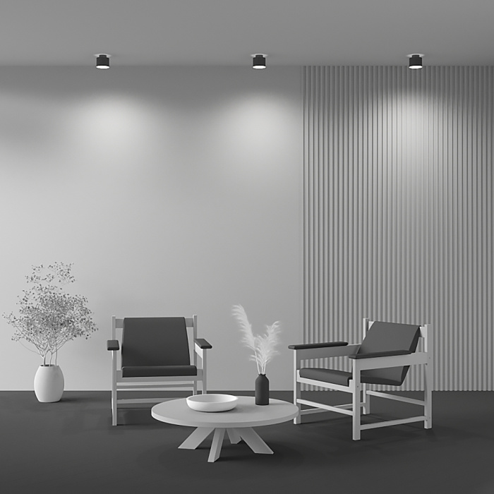 Потолочный светильник Maytoni Planet C009CW-L12B