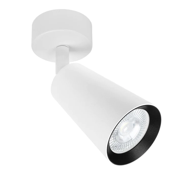 Светильник точечный накладной со сменной лампой Arte Lamp CINTURA A2352PL-1WH
