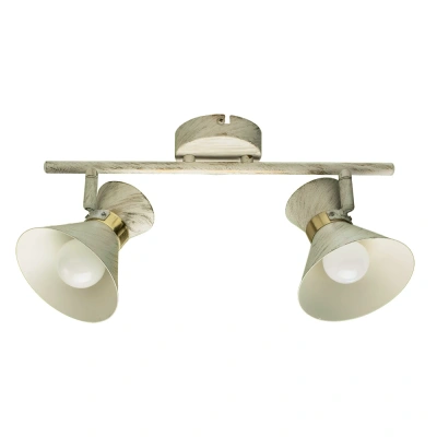 Спот Arte Lamp BALTIMORE A1406AP-2WG