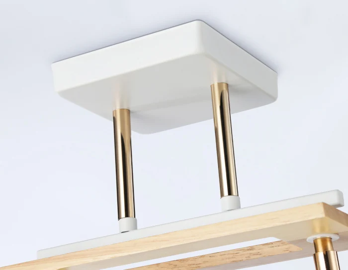 Потолочный светильник Ambrella light TR9501