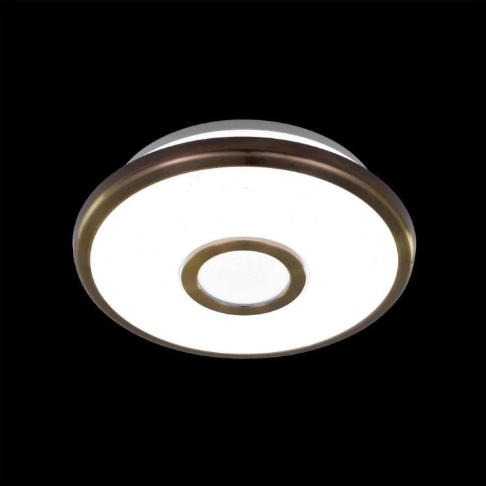 Светильник потолочный Citilux Старлайт CL70313