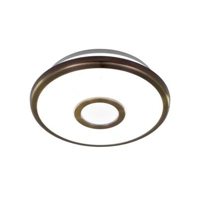 Светильник потолочный Citilux Старлайт CL70313