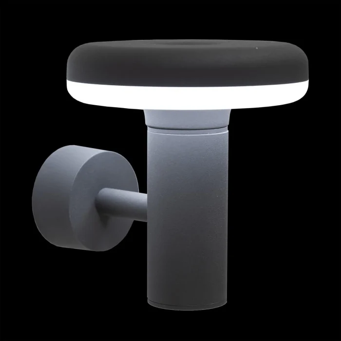 Уличный настенный светильник Citilux Garda CLU01W