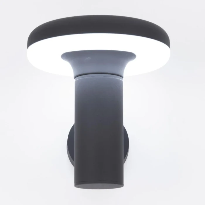 Уличный настенный светильник Citilux Garda CLU01W