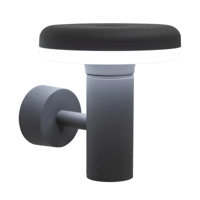 Уличный настенный светильник Citilux CLU01W