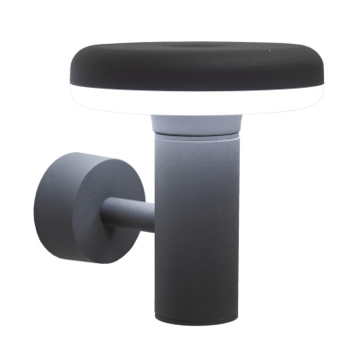 Уличный настенный светильник Citilux Garda CLU01W