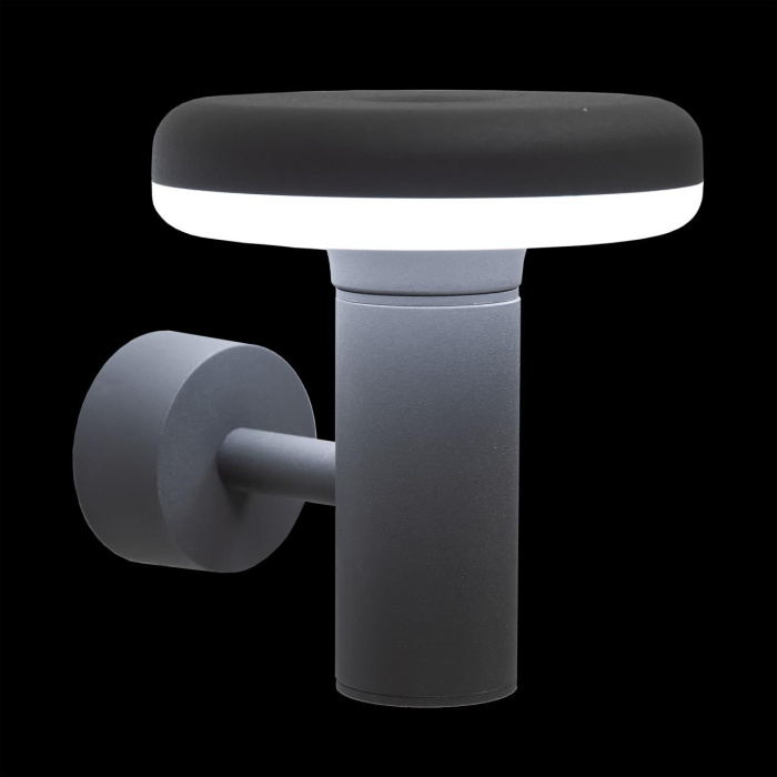 Уличный настенный светильник Citilux Garda CLU01W