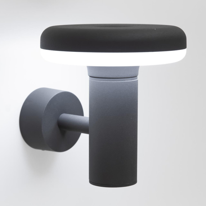 Уличный настенный светильник Citilux Garda CLU01W