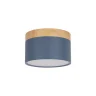Накладной светильник Loft it Grape 10162 Blue