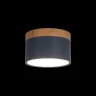 Накладной светильник Loft it Grape 10162 Blue