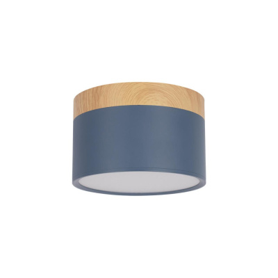 Накладной светильник Loft it Grape 10162 Blue