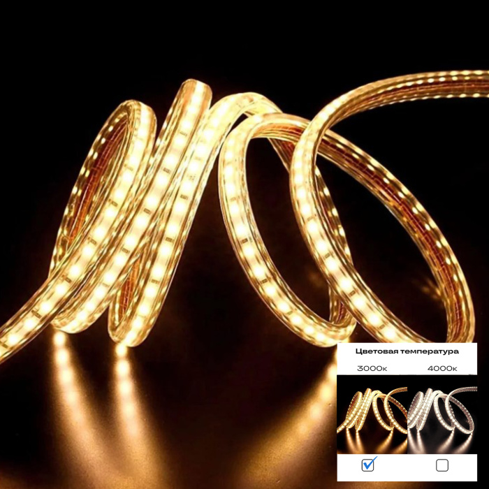 Светодиодная лента ST LUCE ST1001.310.65