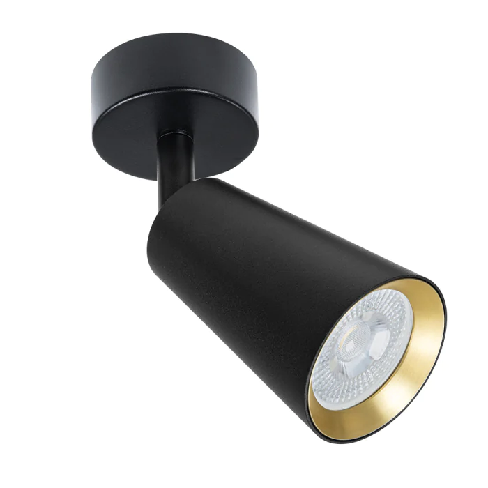Светильник точечный накладной со сменной лампой Arte Lamp CINTURA A2353PL-1BK