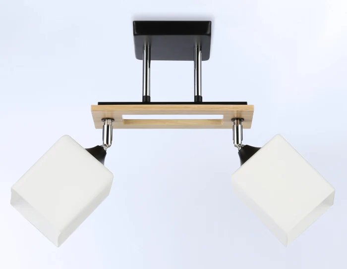 Потолочный светильник Ambrella light TR9503