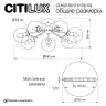 Люстра потолочная Citilux Томми CL102174