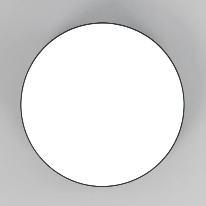 Светильник потолочный Citilux Тао CL712242N