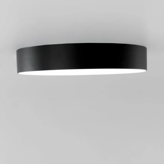 Светильник потолочный Citilux Тао CL712242N