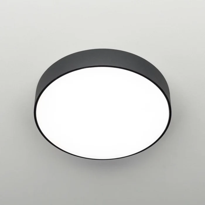 Светильник потолочный Citilux Тао CL712242N