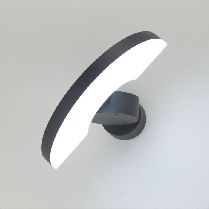 Уличный настенный светильник Citilux Garda CLU03W