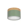 Накладной светильник Loft it Grape 10162 Green