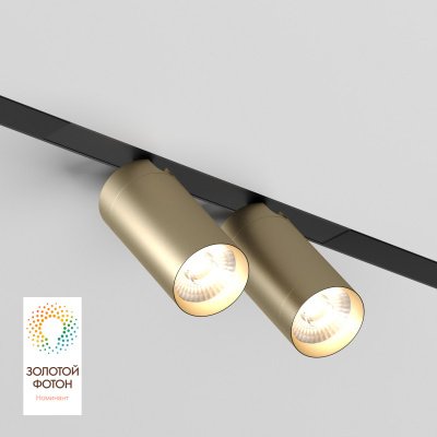 Светильник на шине Denkirs SMART SPOT DK8012-BG