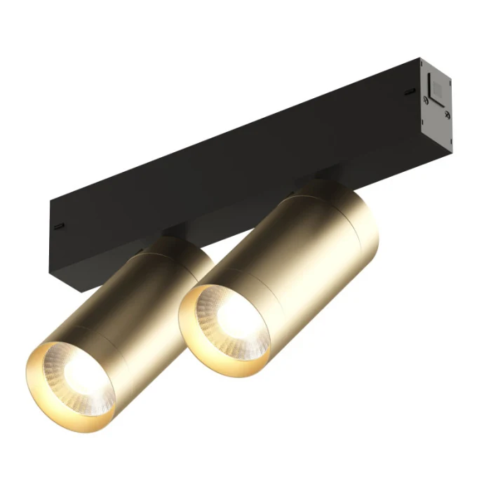 Светильник на шине Denkirs SMART SPOT DK8012-BG