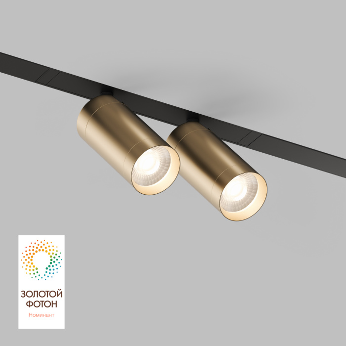 Светильник на шине Denkirs SMART SPOT DK8012-BG