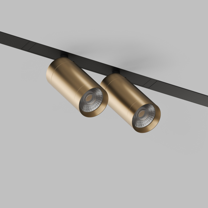 Светильник на шине Denkirs SMART SPOT DK8012-BG