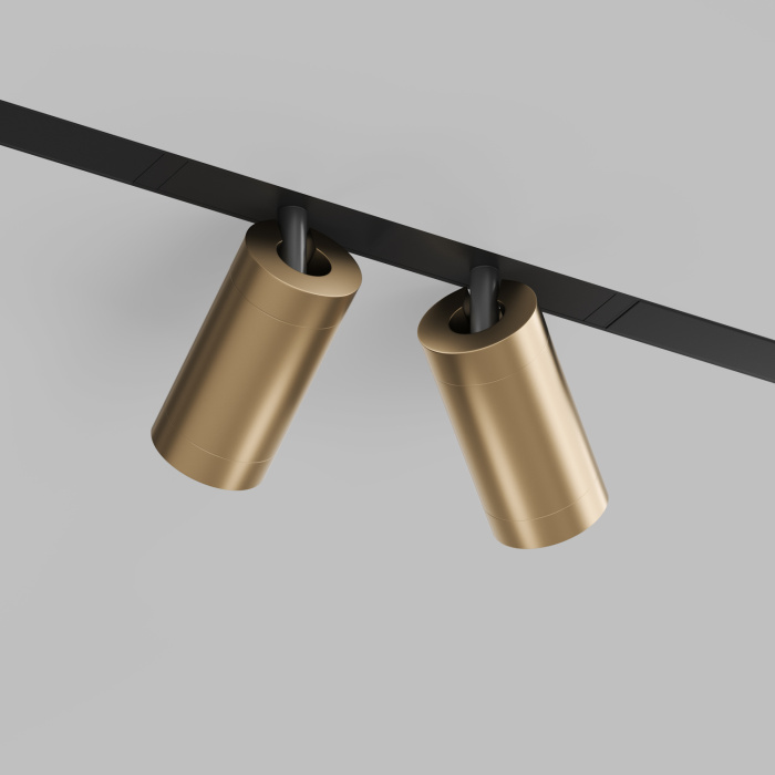 Светильник на шине Denkirs SMART SPOT DK8012-BG