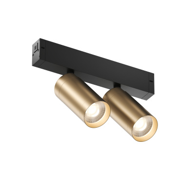 Светильник на шине Denkirs SMART SPOT DK8012-BG