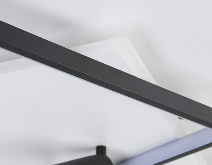 Настенно-потолочный светодиодный светильник с пультом Ambrella light FL5138