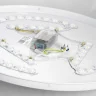 Потолочный светильник Lussole Moonlight LSP-8318