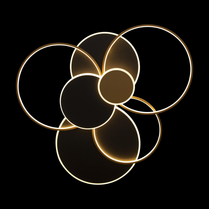 Потолочный светильник LOFT IT 10163 Black