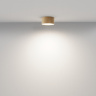 Потолочный светильник Maytoni Zon C032CL-12W4K-RD-MG