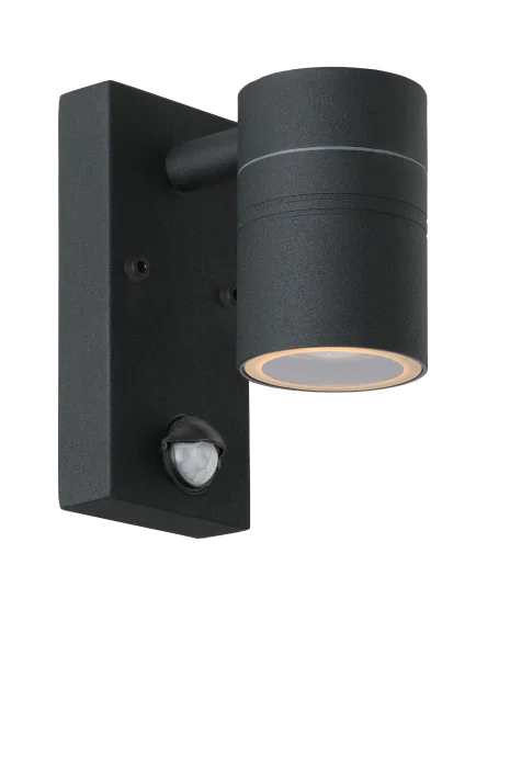 Настенный уличный светильник Lucide ARNE-LED 14866/05/30