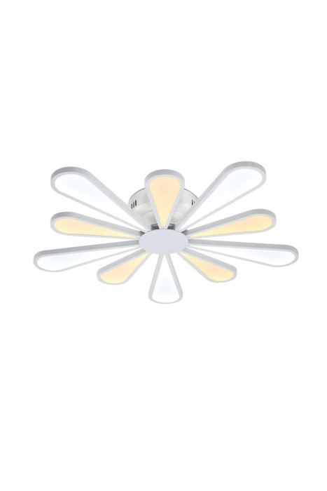 Потолочный светодиодный светильник Lucia Tucci Miracoli 202.10 LED