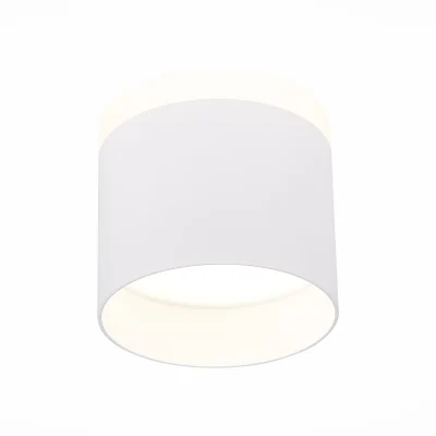 Светильник потолочный ST LUCE ST102.542.12