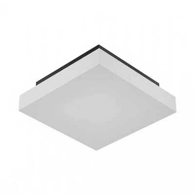 Накладной светильник Ledron DLC79014/10W