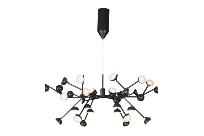 Подвесная люстра iLedex Inefable X088301-100 BK
