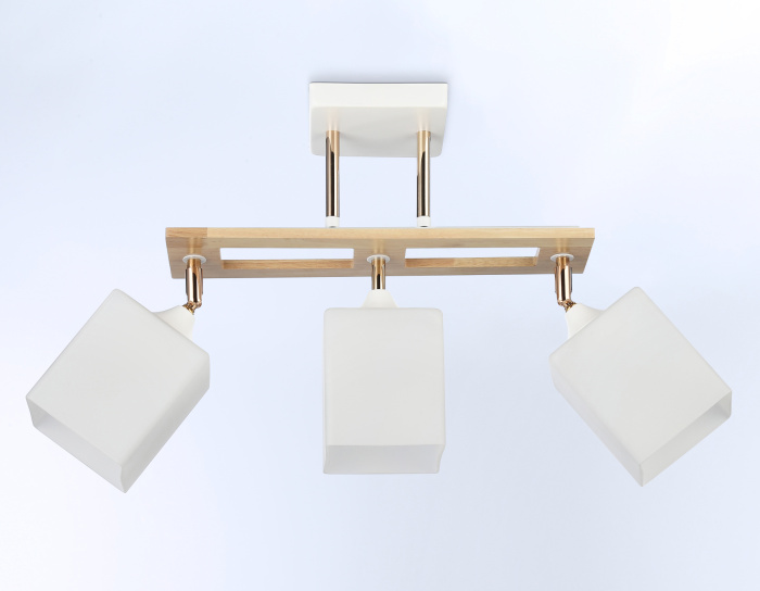 Потолочный светильник Ambrella light TR9505