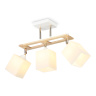 Потолочный светильник Ambrella light TR9505