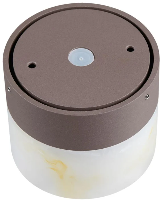 Настенный светильник Odeon Light Nature Candela 7190/6WL