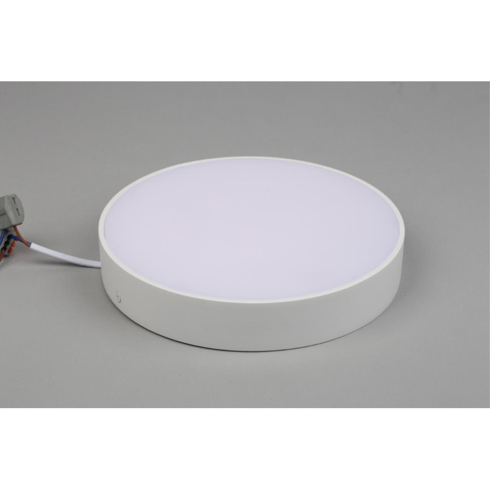 Светильник настенно-потолочный Aployt Evon APL.0113.09.24