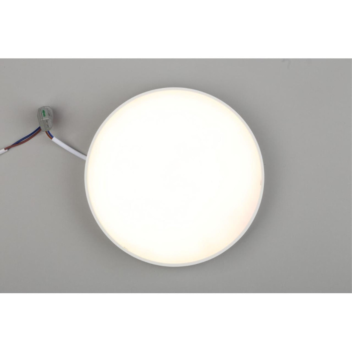 Светильник настенно-потолочный Aployt Evon APL.0113.09.24