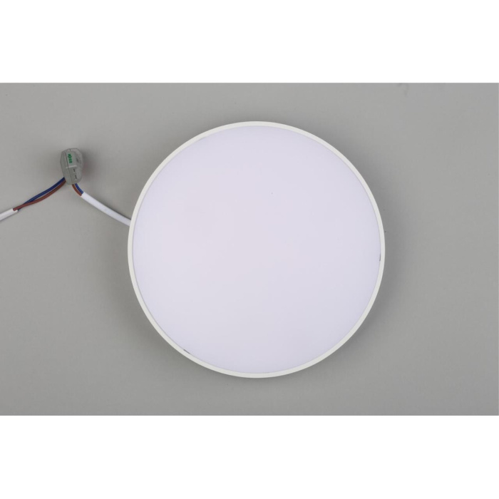 Светильник настенно-потолочный Aployt Evon APL.0113.09.24