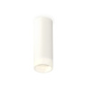 Комплект накладного светильника с акрилом Ambrella light XS6342043