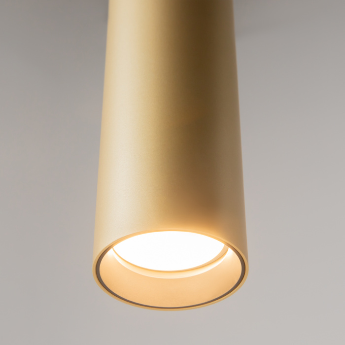 Подвесной светильник Maytoni Pro focus MOD161PL-01G1