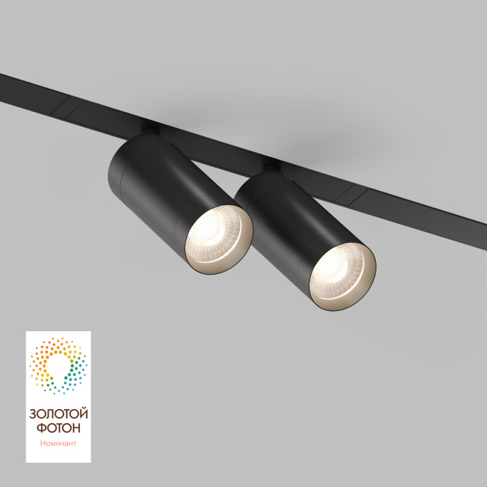 Светильник на шине Denkirs SMART SPOT DK8012-BK