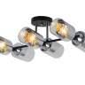 Потолочная люстра Freya Dual FR5226PL-06B