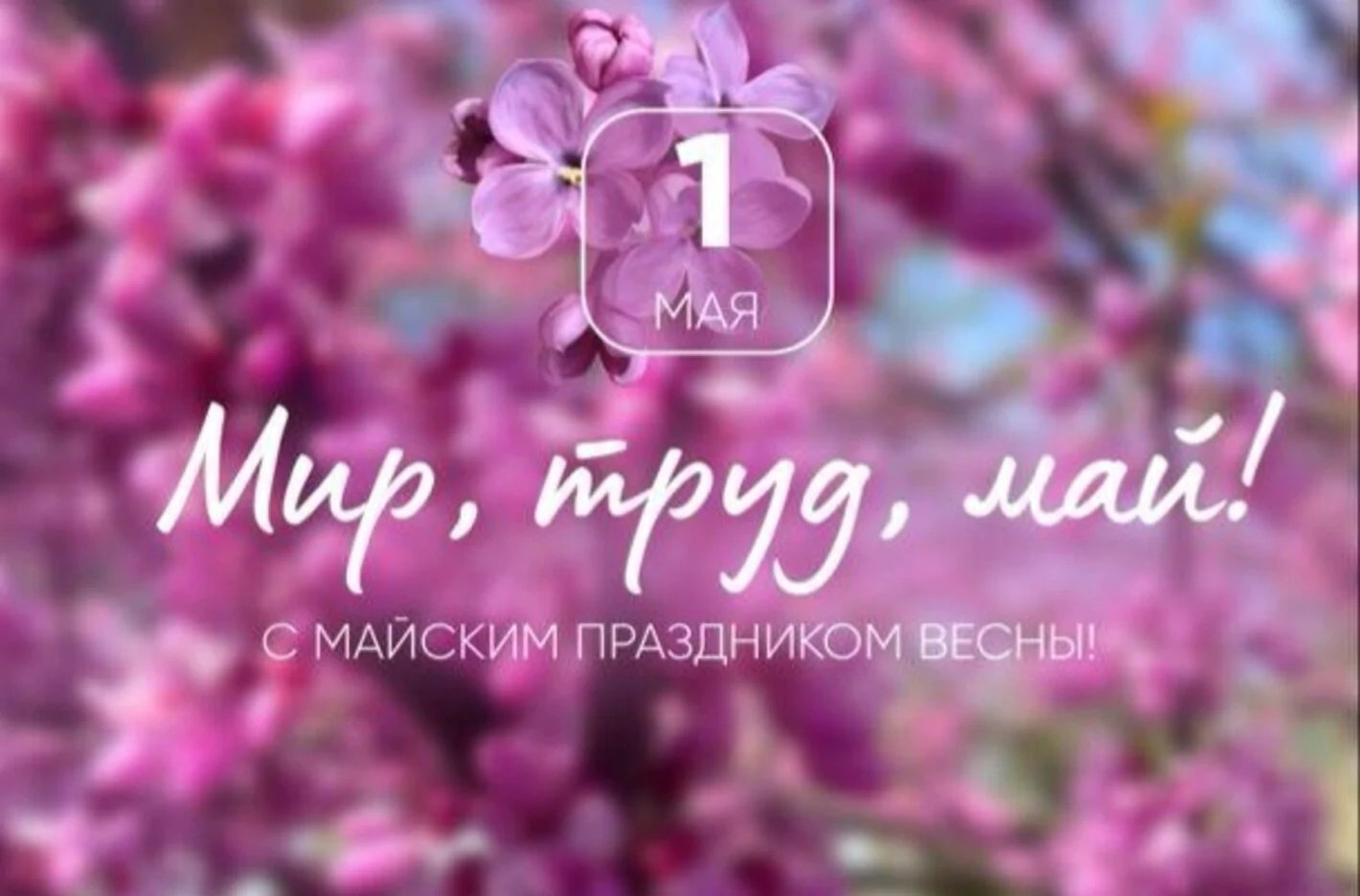 График работы на майские праздники